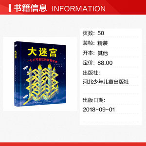 大迷宫 少儿艺术手工贴纸书涂色书少儿 河北少年儿童出版社新华书店正版图书籍课外故事书图书孩子阅读系列