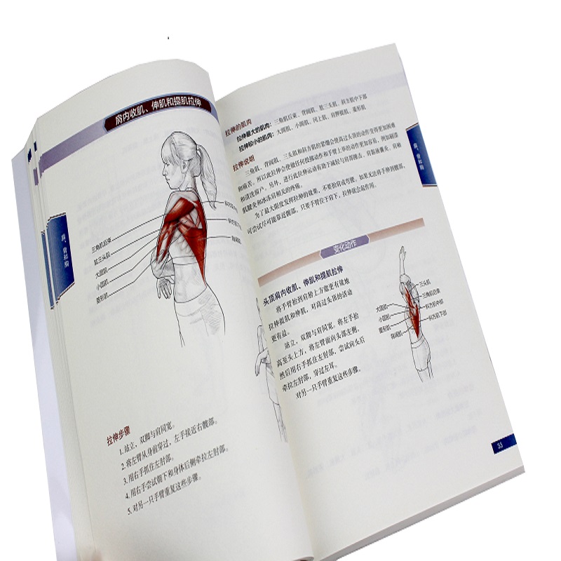 拉伸运动系统训练 全彩图解第2版 拉伸计划专业训练培训书籍 体能训练 肌肉锻炼 拉伸动作姿势 体育运动跑步圣经 新华书店正版图书 - 图1