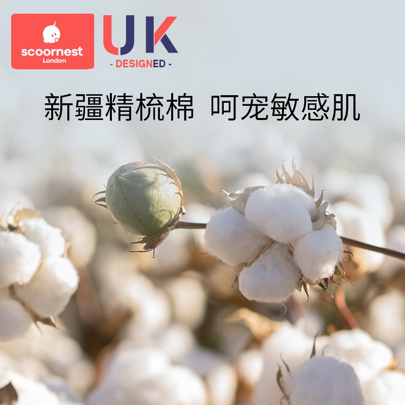 【科巢】儿童春夏季女童宝宝纯棉中筒婴儿袜