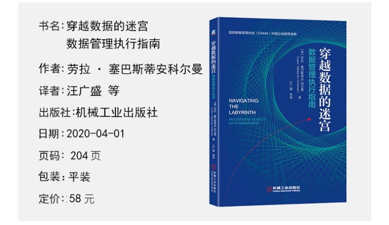 数据管理&治理4册：穿越数据的迷宫：数据管理执行指南+DAMA数据管理知识体系指南+原理技术与实践 - 图1