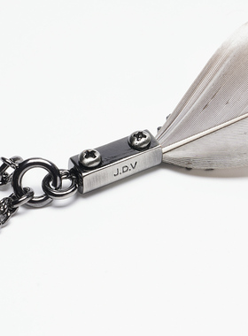 JDV商场同款灰咖色羽毛垂坠设计长款项链2026春季新品SANA802