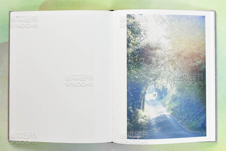 【现货】川内伦子摄影集 鸟类Des oiseaux 英文原版 进口作品集写真集 Rinko Kawauchi - 图0