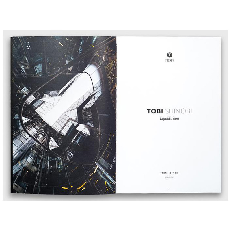 【现货】 Tobi Shinobi: Equilibrium，托比·希诺比:平衡 英文原版图书籍进口正版 艺术摄影-人文景观 - 图2