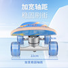 Shengchi maple adult and children double-warp and land-chong can turn