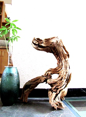 千年胡杨风化老木原木随形根艺摆件自然禅意艺术创意家居收藏饰品