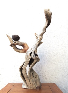 千年胡杨风化枯木朽木根艺随形摆件自然禅意创意家居软装饰品搭配