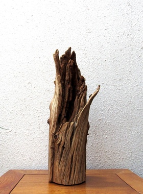 精选千年胡杨风化木随形根艺摆件自然禅意艺术微景观创意家居饰品