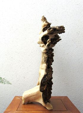 枯木整体随形自然禅意风生态摆件