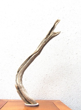 千年胡杨风化老木原木随形根艺摆件自然禅意艺术创意家居收藏饰品