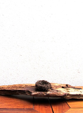 天然鸟窝千年胡杨风化枯木整体随形摆件家居客厅玄关书房自然创意
