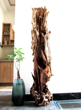 千年胡杨风化老木原木随形根艺摆件自然禅意艺术创意家居收藏饰品
