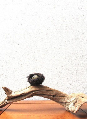 天然鸟窝千年胡杨风化枯木整体随形摆件家居客厅玄关书房自然创意