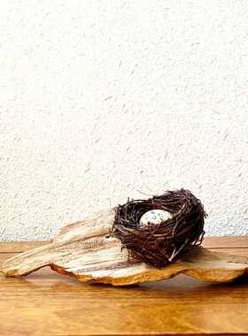 千年胡杨风化老木摆件自然禅意景观创意文玩珠宝首饰搭配拍照底座