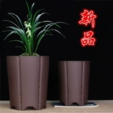 Самостоятельный бутик -бутик -бутик -фиолетовый песчаный горшок с крупным калибром орхидеи мясной горшок с цветочным горшками, джентльменская орхидея керамическая кастрюль