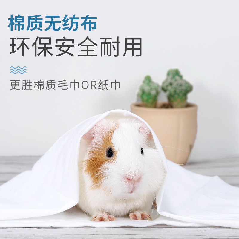 极速兔子荷e兰猪豚鼠洗澡沐浴清洁用品一次性浴巾鹦鹉刺猬小宠专,淘宝优惠券,粉丝福利购,淘宝优惠卷
