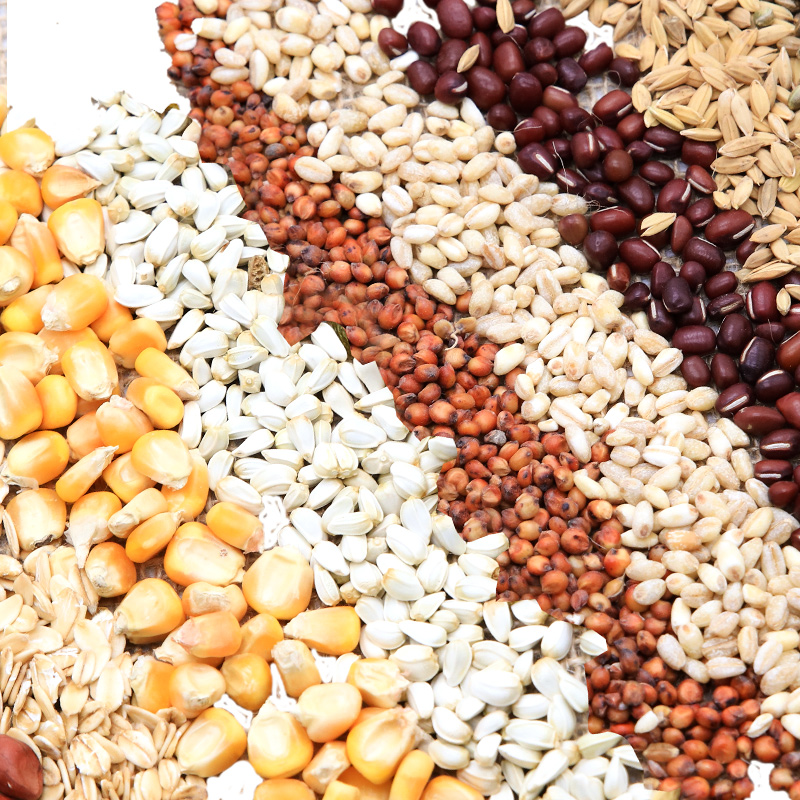 玄凤虎皮牡丹鹦鹉零食饲料鸟食五谷粮自配DIY小黑瓜子高粱燕麦片,淘宝优惠券,粉丝福利购,淘宝优惠卷