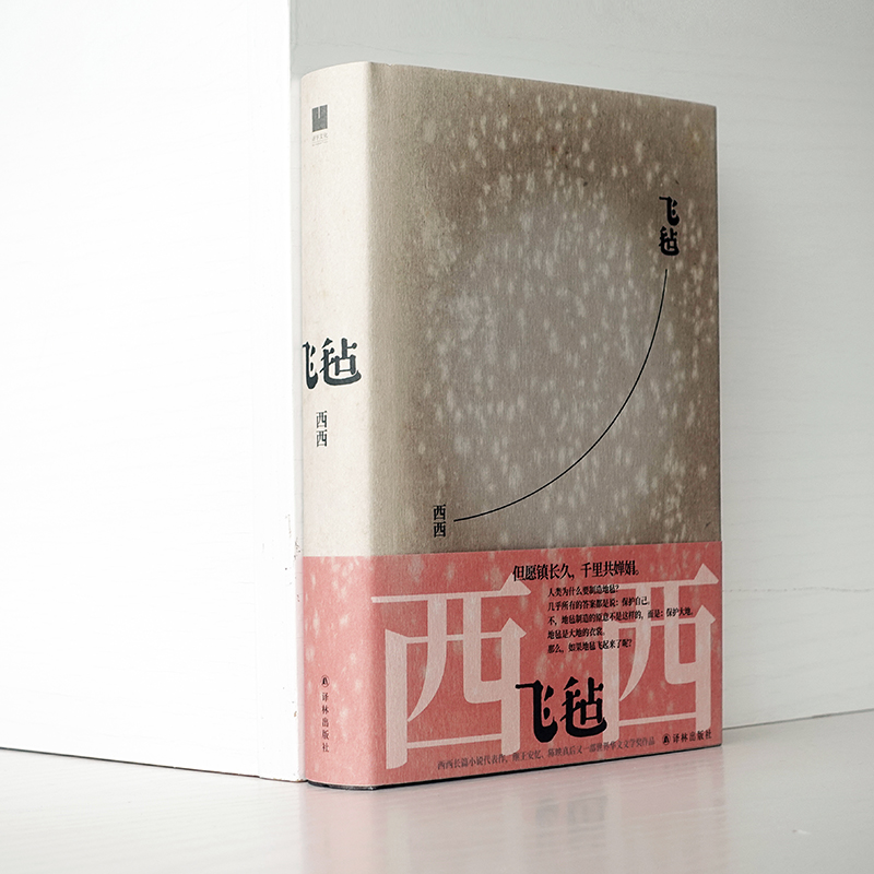 飞毡莫言、余华西西长篇小说代表作世界华文文学奖作品温柔道来一座城市的记忆与性格轻盈呈现香港百年生活史花家三代家族往事-图2