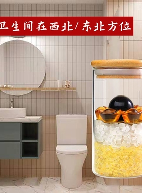 安忍水瓶床头厕所在西北角卫生间东北方摆件家用化解五黄二黑