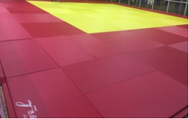 Jeppeter Manufacturer Direct Marketing Professional Competition Training Judo Mat (customizable)