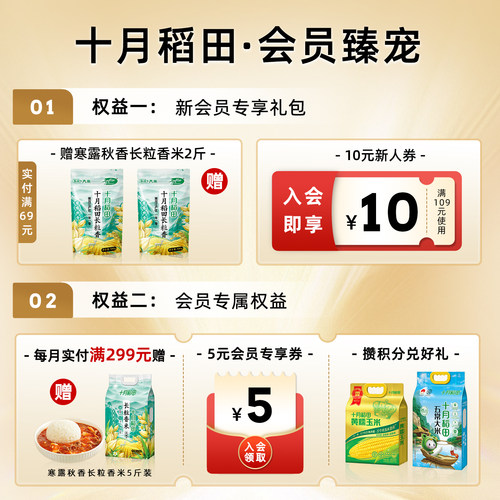 十月稻田东北黑玉米苞谷软糯甘甜大棒花青素清香真空新鲜食品早餐 - 图3
