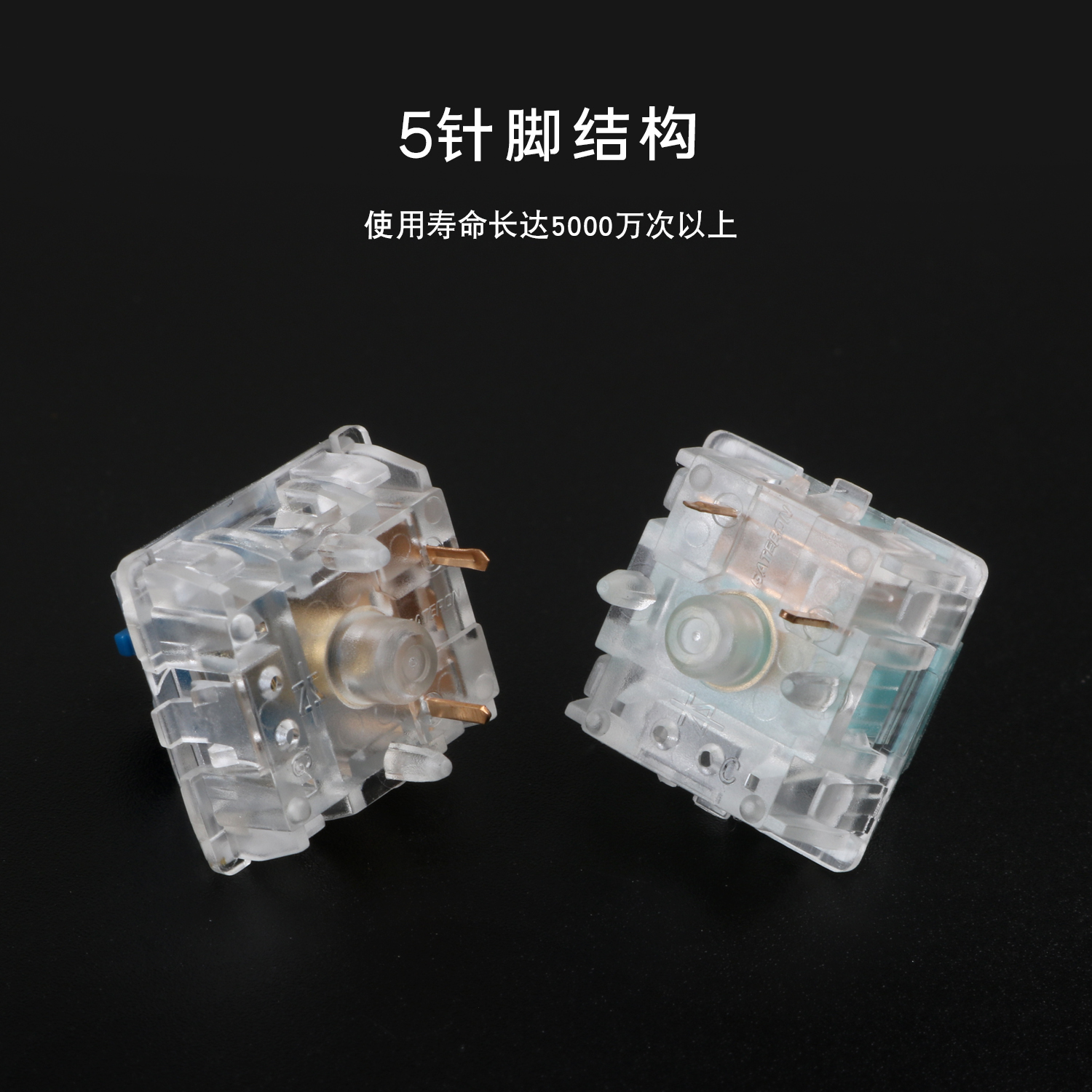 Zealio Switches (Tactile) zilent静音蓝轴v2版本静音轴 段落轴 - 图1