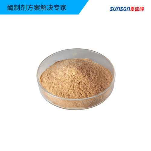 夏盛工业级用酶中性蛋白酶6万u/g高酶活 固体工业添加剂 酶制剂 - 图2