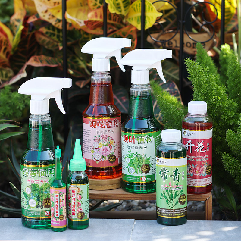 植物营养液通用型花肥发财树绿萝专用绿植花卉盆栽叶面喷施免稀释,淘宝优惠券,粉丝福利购,淘宝优惠卷