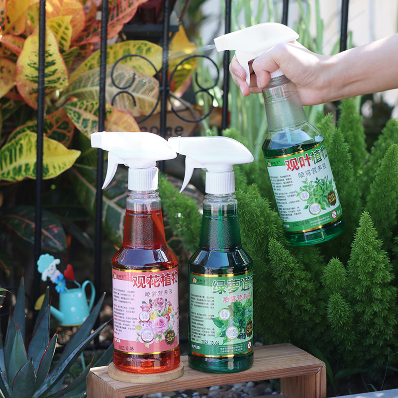 植物营养液通用型花肥发财树绿萝专用绿植花卉盆栽叶面喷施免稀释,淘宝优惠券,粉丝福利购,淘宝优惠卷