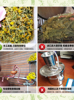 杜松子蒸馏纯露饱和包邮