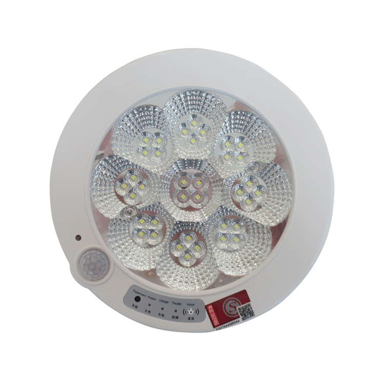 LED声控灯应急吸顶灯人体感应灯包检测消防应急灯红外线8W11W楼道