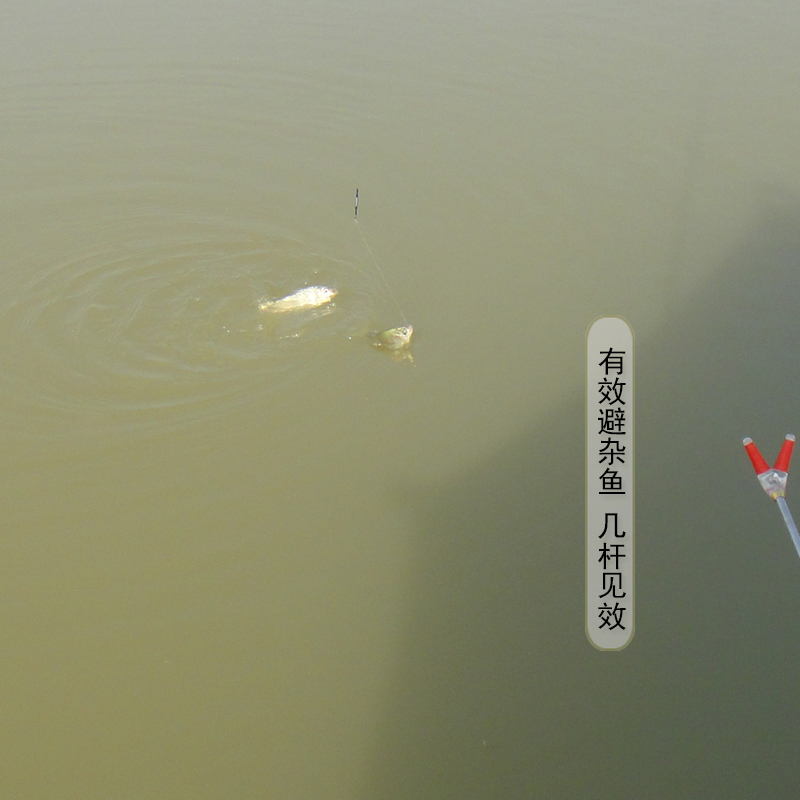 仙翁粘粉野钓空钩钓鱼强力鲫鱼鲤鱼粘米胶蘸饵鱼饵粘粉摇三摇套装 - 图2