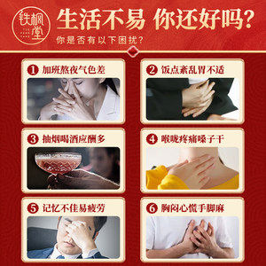 铁枫堂铁皮石斛雁荡特级100克石斛枫斗自用不含礼盒 养生铁皮枫斗