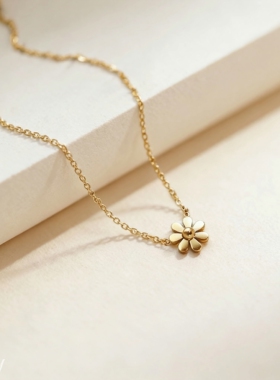 #钛钢锁骨小雏菊项链#春夏季女款小众花朵吊坠简约高级感