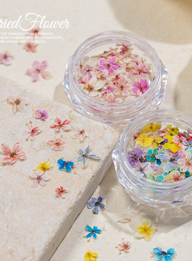美甲干花混装莫奈花园精美五瓣花