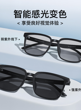 CAPONI墨镜男2025新款小框太阳镜