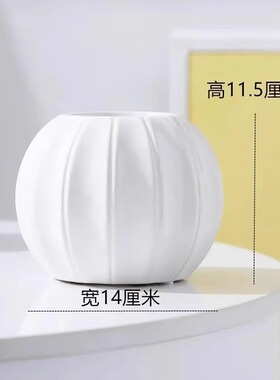 仿陶瓷花盆年宵花红果橙色南瓜