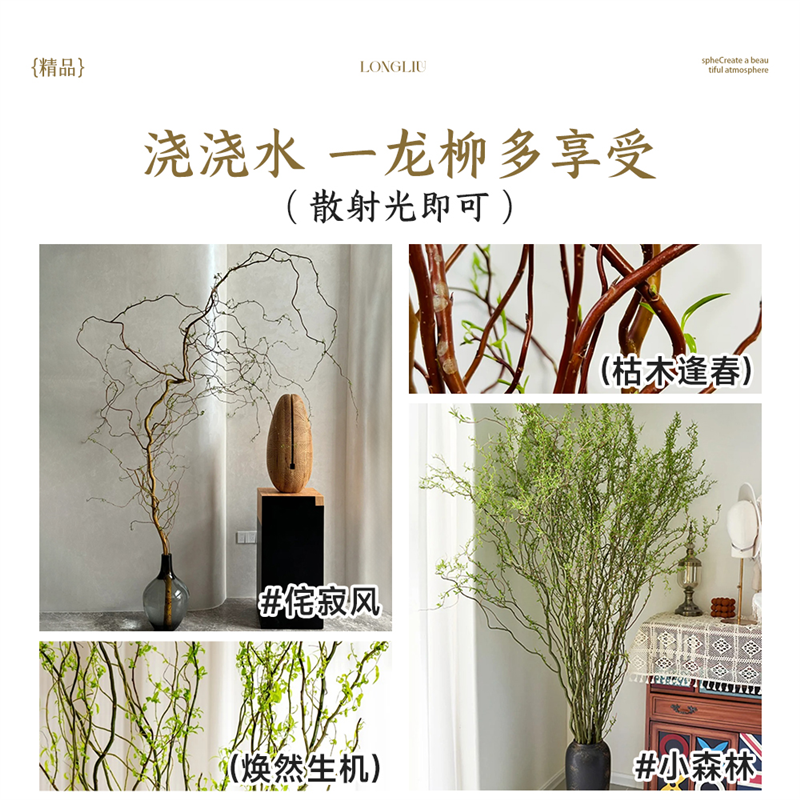 龙柳鲜枝水培植物室内好养活绿植客厅干支雪柳富贵竹水养花卉盆栽,淘宝优惠券,粉丝福利购,淘宝优惠卷