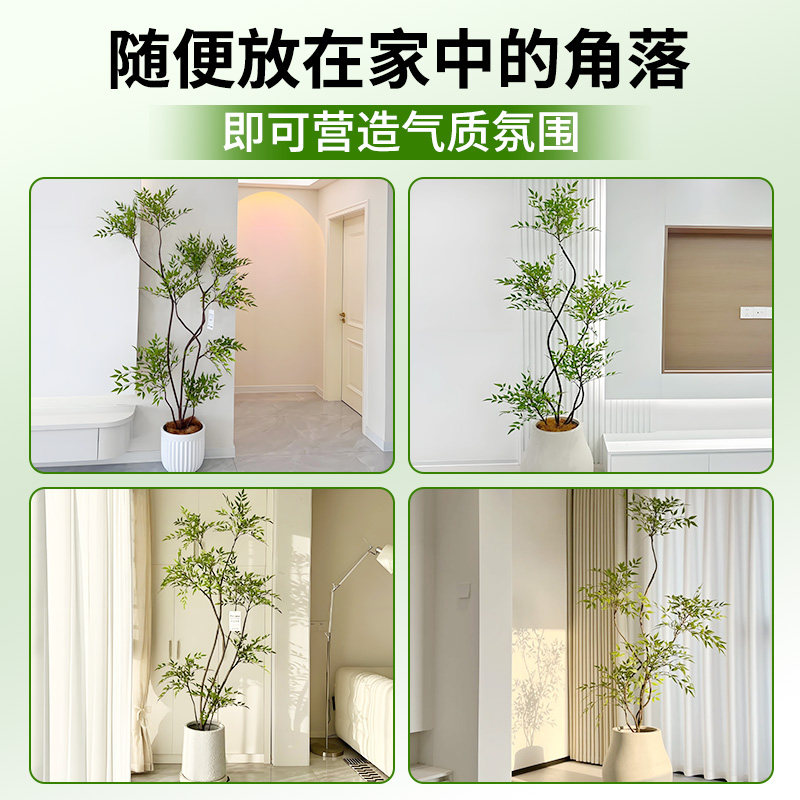 造型南天竹真树盆栽客厅大型绿植物办公室内火焰老桩好养四季常青,淘宝优惠券,粉丝福利购,淘宝优惠卷