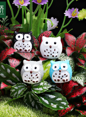 新品推荐 盆栽园艺小摆件猫头鹰 室内微景观绿植装饰品迷你小公仔