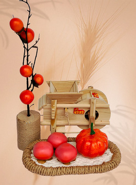 餐桌中间造景微景观创意五谷丰登