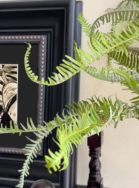 高级法式客厅书房装饰画中古风卧室壁画古典艺术挂画新中式荷叶画