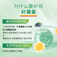 Bodybuilding Bilberry Lutein Soft Capsule 40mg