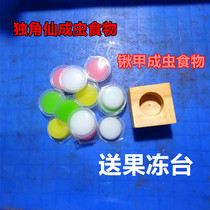(SEND JELLY TABLE) Unicorn Fairy Jelly Shovels Beetle Beetle Beetle Feed Ants Insect Beetle Special Food