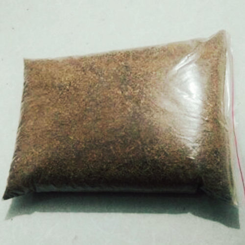 独角仙幼虫增肥增大甲虫  腐殖土饲料   宠物食物   深度发酵木屑 - 图0
