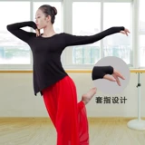 Комплект, современная этническая спортивная одежда, классический лонгслив, свободный крой