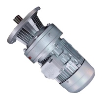 Cycloidal needle wheel reducer BLD09-11-17-23-29-35-43-59-0 75KW