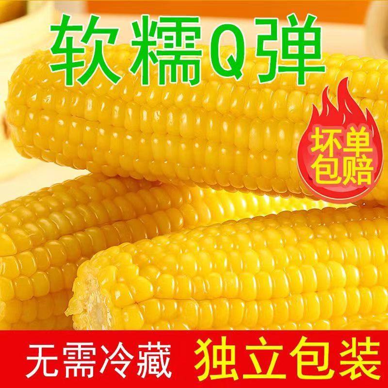 真空新玉米东北黄糯玉米真空装黏玉米吉林玉米非转基因头茬10根,淘宝优惠券,粉丝福利购,淘宝优惠卷