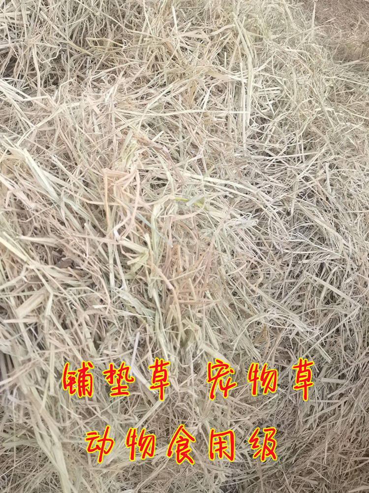 天然干稻草宠物铺垫草手工编织材料霉豆腐稻草农家乐装饰草帘草垛 - 图0