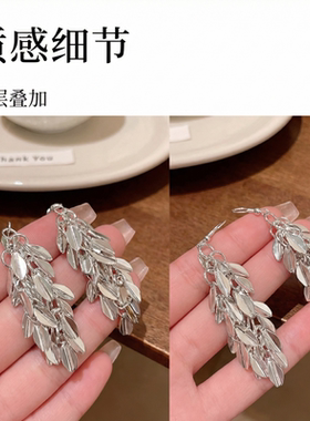 S925银钩小众高级感长款流苏耳环