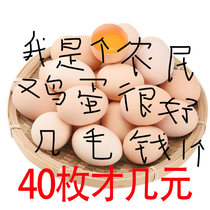 Authentic native eggs Filial Piety Farmhouse Loose fresh pure countryside Self-nourishing natural 40 Grass Eggs Bulky Eggs